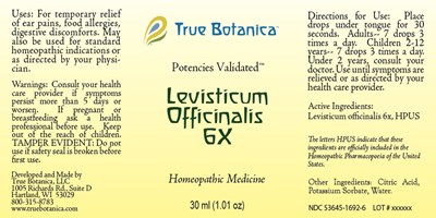 Levisticum Officinalis 6x (Levisticum Officinalis 6x Jpg)